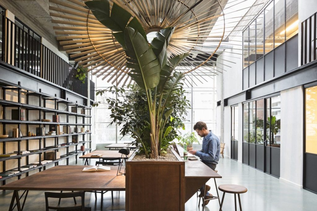 Modern workspace with large windows, central planter with tall plants, a man working at a wooden table, and an artistic overhead light fixture.