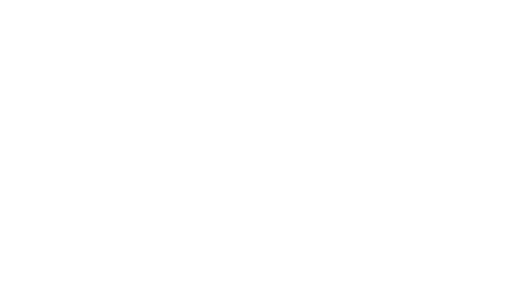 Software Improvement Group